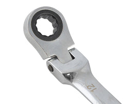 BlueSpot Tools Flexible Head Ratchet Set