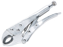 Load image into Gallery viewer, BlueSpot Tools Locking Pliers 254mm (10in)