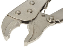 Load image into Gallery viewer, BlueSpot Tools Locking Pliers 254mm (10in)