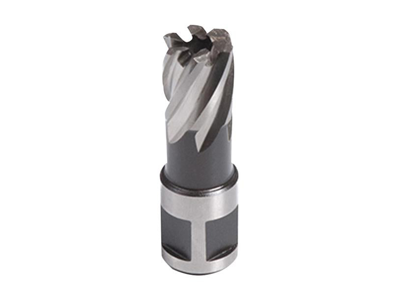 Evolution Broaching Cutters