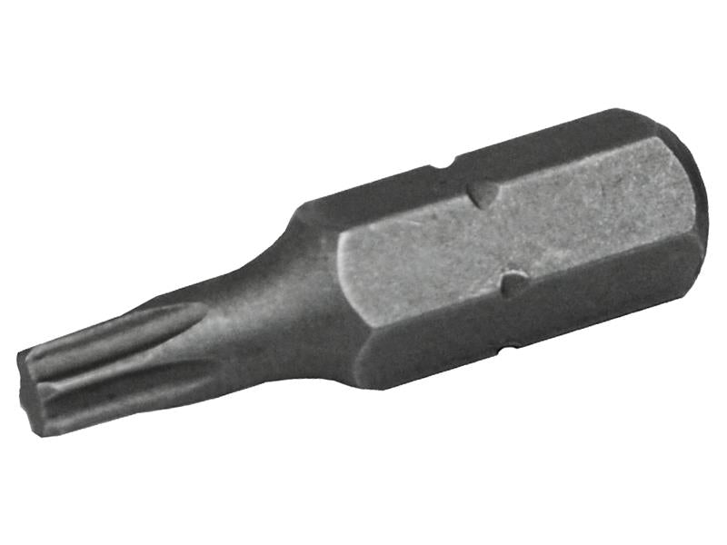 Faithfull Security S2 Grade Steel Screwdriver Bits