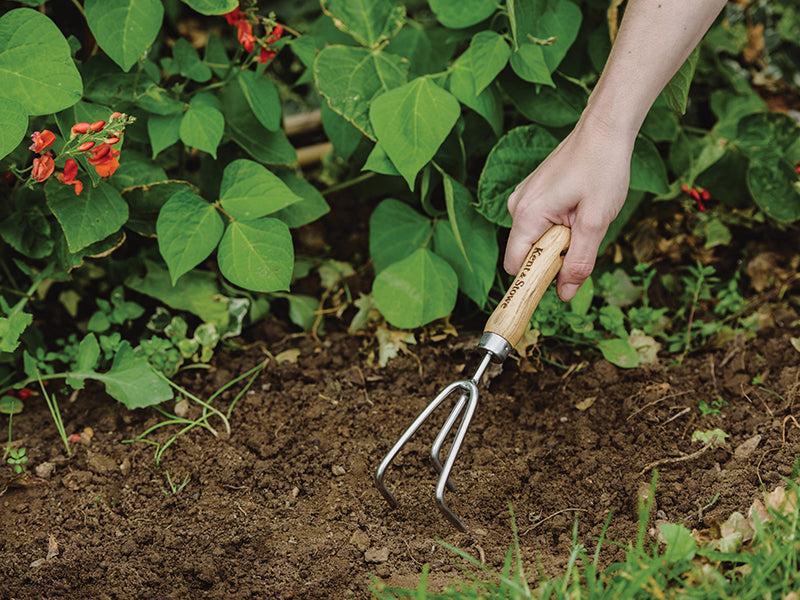 Kent & Stowe Hand 3-Prong Cultivator, FSC®