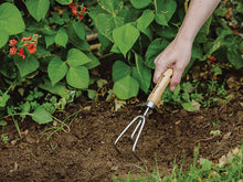 Load image into Gallery viewer, Kent &amp; Stowe Hand 3-Prong Cultivator, FSC®