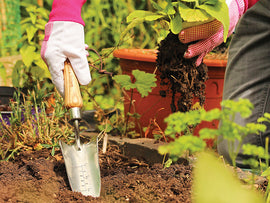 Kent & Stowe Hand Transplanting Trowel, FSC®