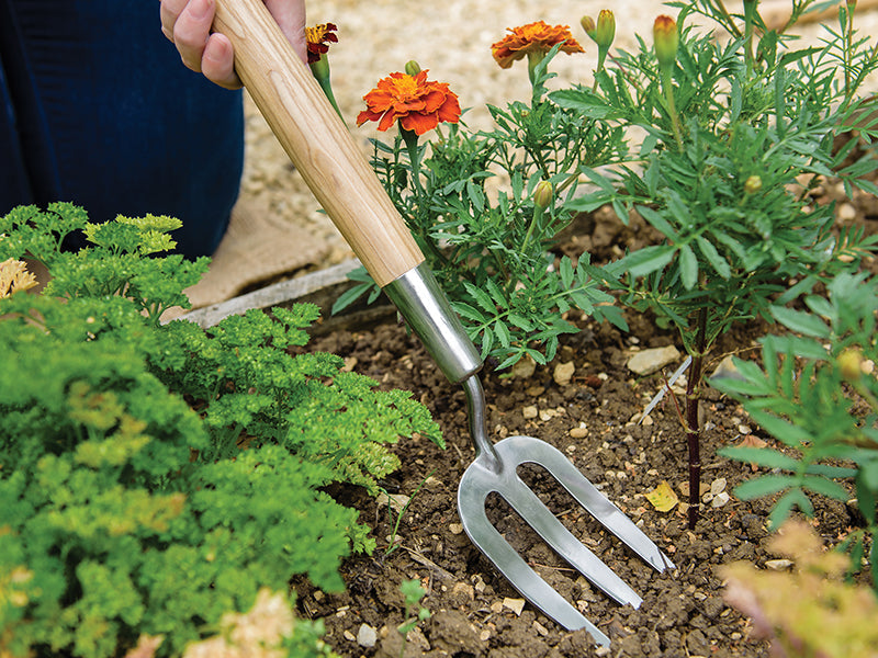 Kent & Stowe Hand Border Fork, FSC®