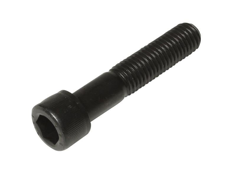 METALMATE® Socket Cap Screws, Self Colour