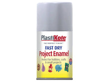 Load image into Gallery viewer, PlastiKote Fast Dry Aerosol Enamel