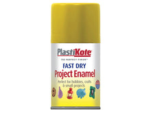 Load image into Gallery viewer, PlastiKote Fast Dry Aerosol Enamel