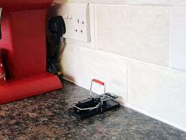 Rentokil Advanced Mouse Trap