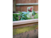 Load image into Gallery viewer, Rentokil Slug &amp; Snail Barrier Tape 4m